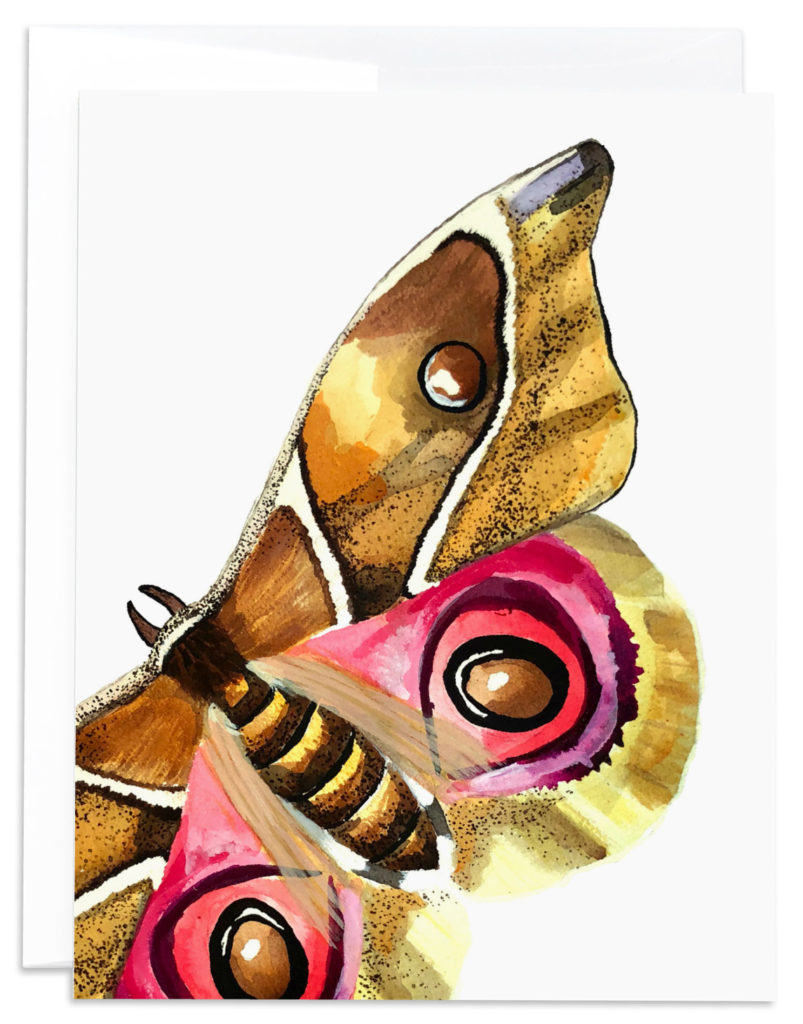 Moth Notecard from J6R6
