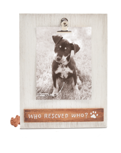 Pet Frames from burton + BURTON
