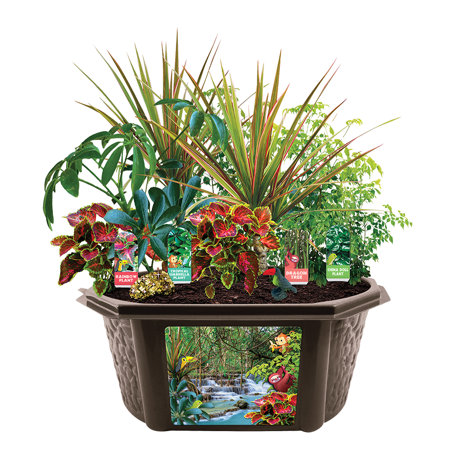 Tropical Rainforest Jungle 
															/ Silver Circle Products							