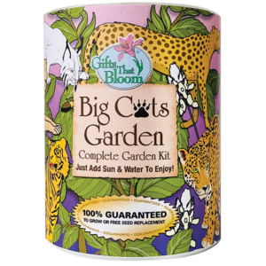 Garden Grocans by Gifts That Bloom include a biodegradable fiber pot, soil, seeds specific to that garden, and planting instruction – Just add sun and water and seeds are ready to grow.