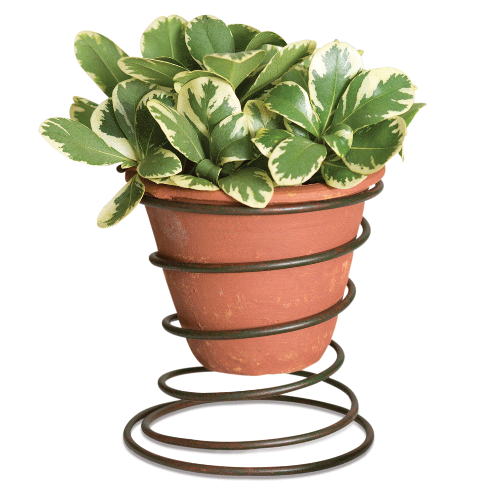 Bedspring Caddy with Terracotta Pot