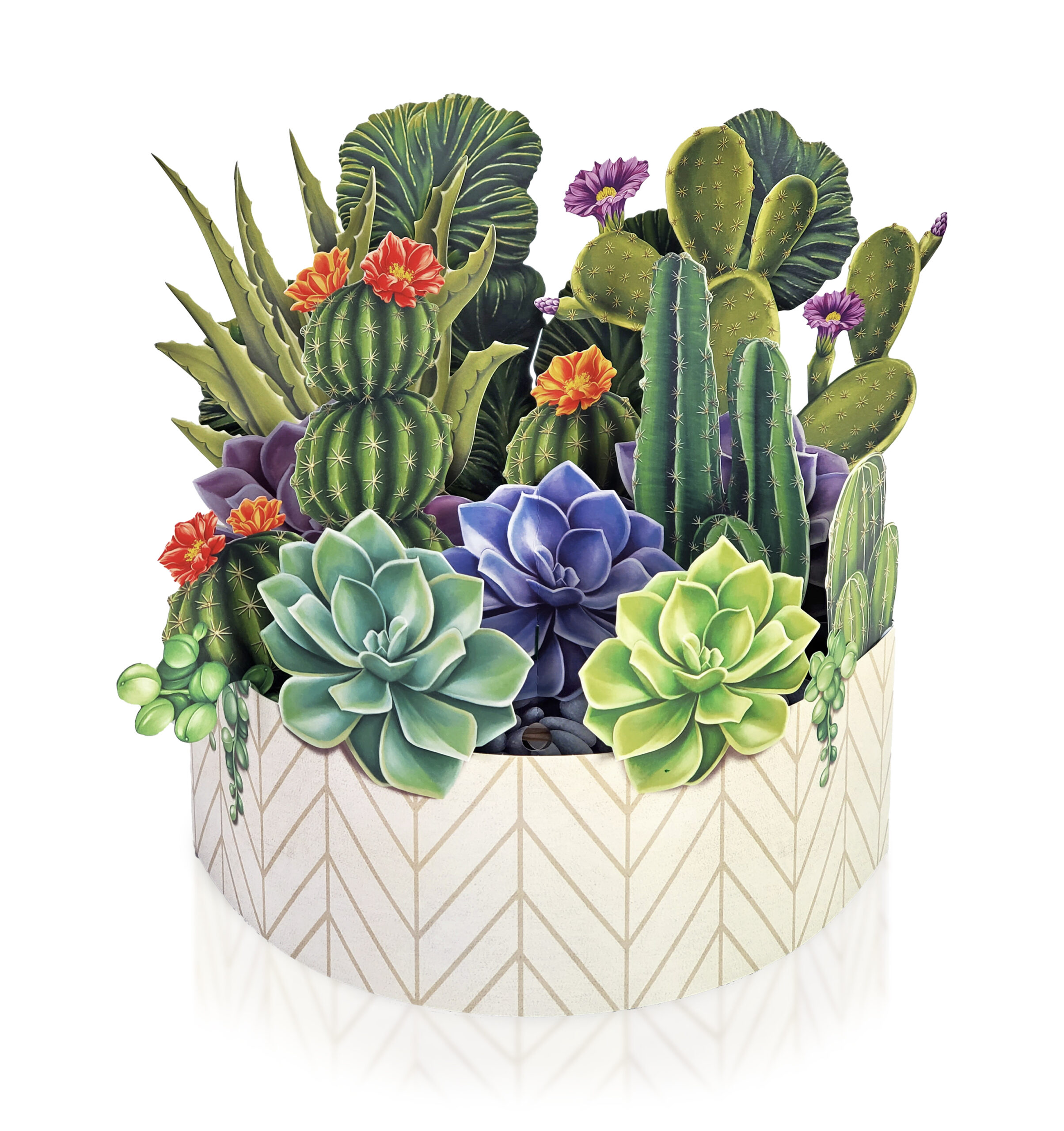 Pop-Up Lifelike Cactus Garden 
															/ FreshCut Paper							