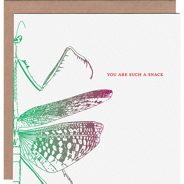 Such a Snack Mantis Greeting Card