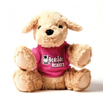 BedsideHealers-copy