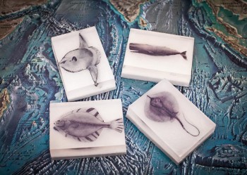 FishBonesCognitiveSurplus-copy