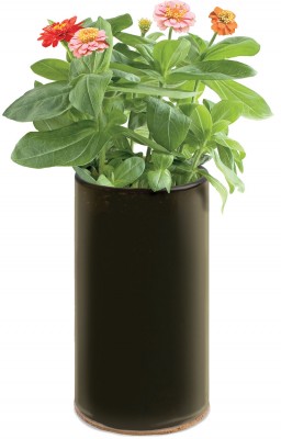 Pottibg-Shed-Creations_Garden-in-Recycled-Wine-Bottle