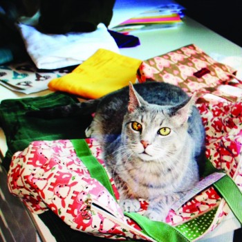 W.Wellness_bungalow360cattiger