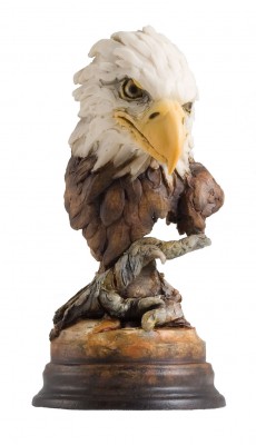 Wild-Wings_Aerie-Bald-Eagle