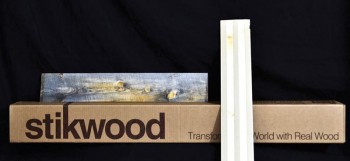 ecofinalistmostinnovativestickwood-copy